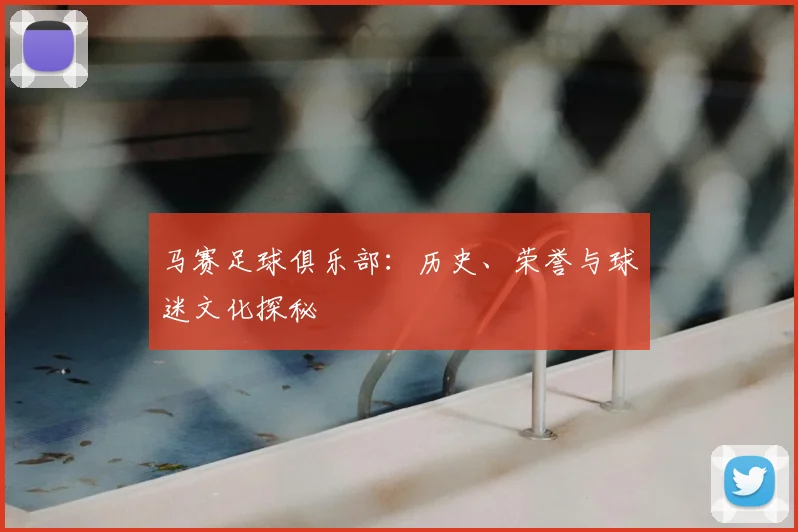 马赛足球俱乐部：历史、荣誉与球迷文化探秘